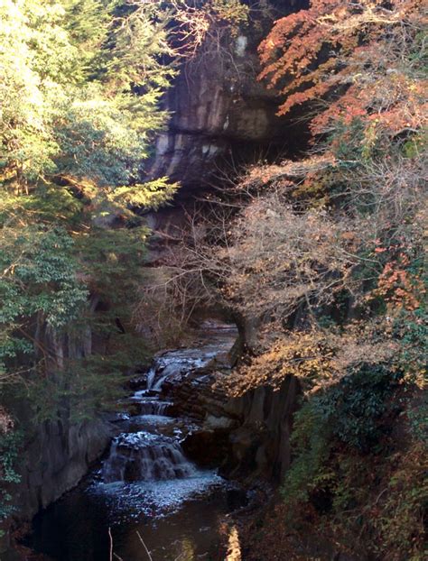 濃溝の滝（亀岩の洞窟）の紅葉｜紅葉情報2024