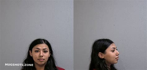 Tapia Michelle Rodriguez Hidalgo County Mugshots Zone