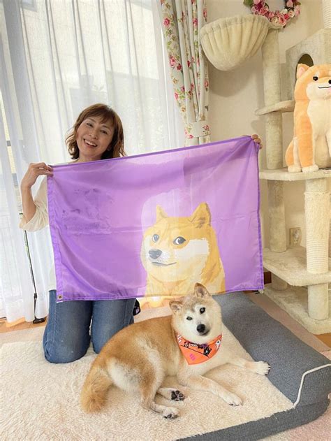 全球網友集氣！迷因「doge」本尊柴犬奇蹟式好轉 主人曝狀況 動物新鮮事 Udn寵物部落