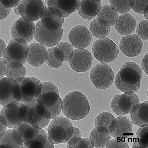 Mesoporous Silica Nanoparticles – nanoComposix