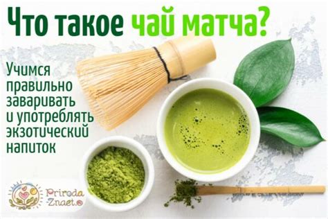 Чай матча: японский гость, что это за разновидность зеленого чая и его ...