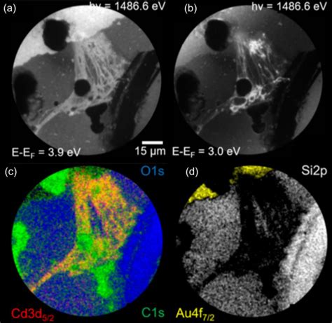 Energy Filtered Peem And Imaging Xps Of Nets In The Presence Of Qdots