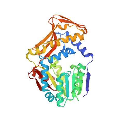 Rcsb Pdb 7sex M Tb Egtd In Complex With Tgx221