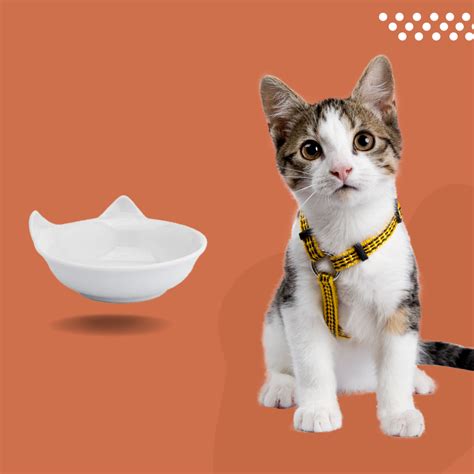 Tigela Prato P Gatos Pet Comedouro Porcelana Gato Promo O Shopee Brasil