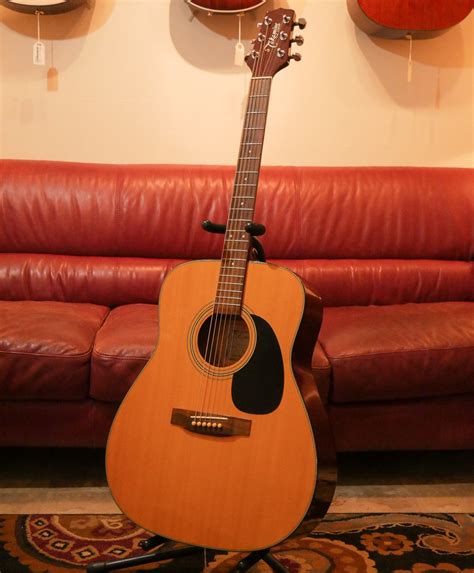 Takamine G 240 Wgigbag