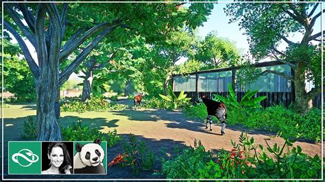 Building An Okapi Habitat In Planet Zoo Meilin Zoo Ep 21 Youtube