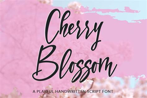 Cherry Blossom A Playful Script Font