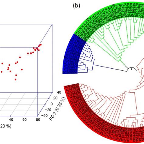 A 3d Scatter Plot 3d Pca Of 141 Indian Genotypes Based On The First