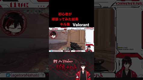 初心者が頑張ってみた結果キル集新人vtuber Valorant ヴァロラント Valorant動画まとめ