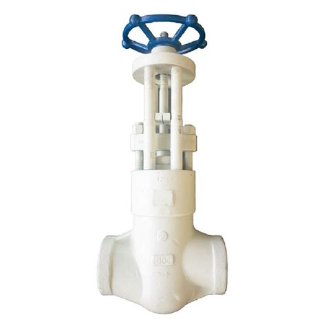 Api 602 Forged Globe Valve Savvy Valves Co Limited