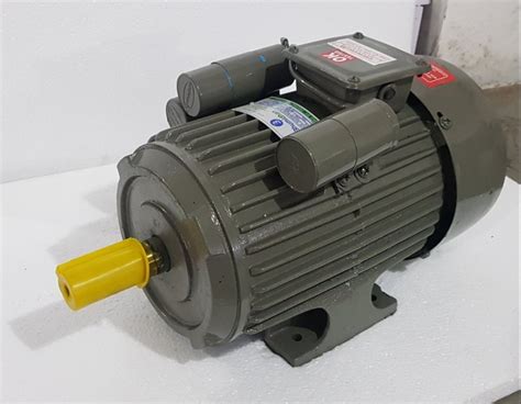 22 Kw 3 Hp Single Phase Electric Motor 1440 Rpm At Rs 9250 In Jaipur