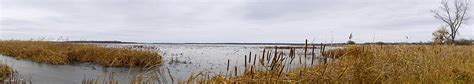 EPA Research Supports National Estuary Program | US EPA