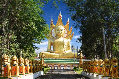 Golden Giant Buddha Wat Bang Riang Wat Rat Upathamin Temple In Khao