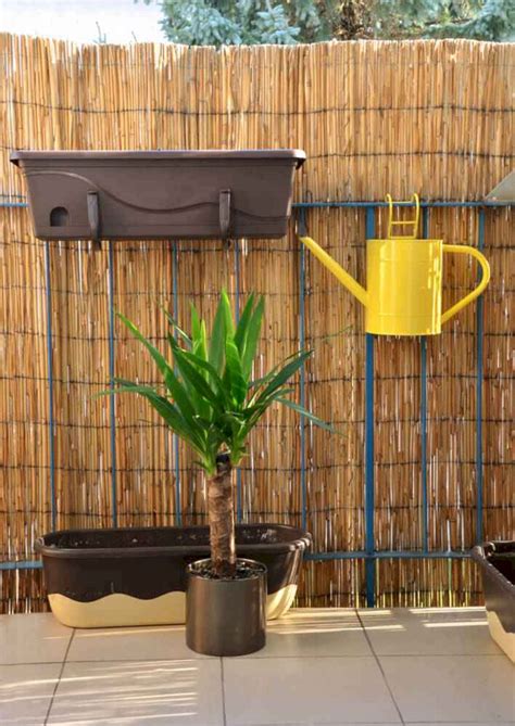 Bamboo Privacy Fence Ideas — Freshouz Home & Architecture Decor