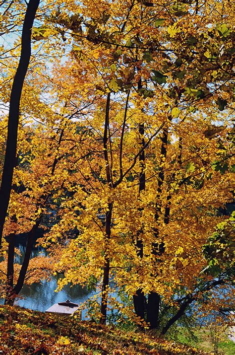 Greenwood Cemetery Brooklyn Ny On Behance