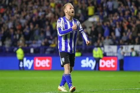 sheffield wednesday zenazafira