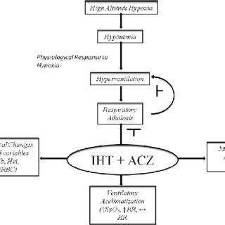 Schematic Representation For The Possible Mechanism Of Combined Effect