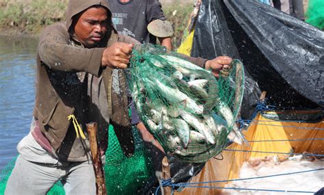 Aquaculture Project Helps Filipino Families Provide For Themselves