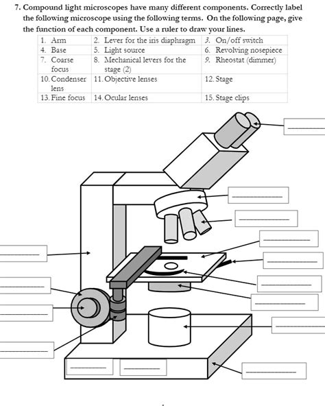 Lab Using A Compound Light Microscope Worksheet | Shelly Lighting