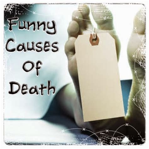 gingerista funny   death