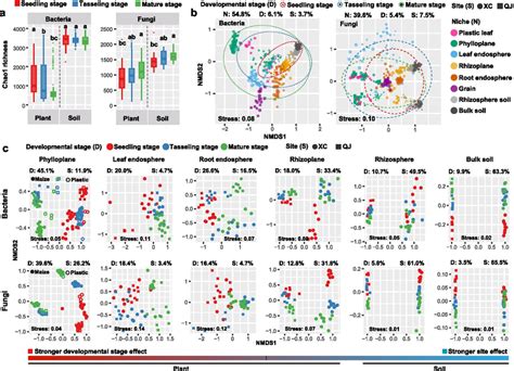 Temporal Dynamics Of Diversity And Distribution Patterns Of