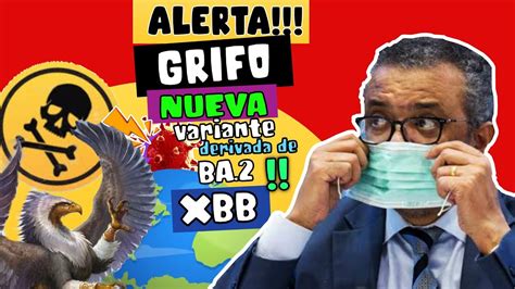 Alerta ⚠️ CientÍficos Preocupados Por Otra Subvariante De Ómicron Derivada De Ba 2 Variante Xxb