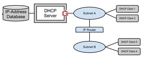 What Is Dhcp And How Dhcp Works Dhcp Fundamentals Explained