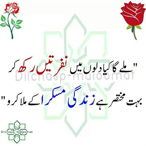 Pin By Soomal Mari On Urdu Urdu Quotes With Images Islamic Love