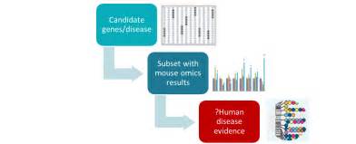 General Bioinformatics - Science - Complex bioinformatics for complex science