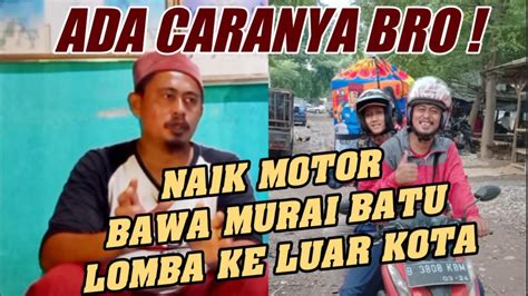 Lomba Burung Berkicau Murai Batu Menghipnotis Kicaumania Babeh Awin