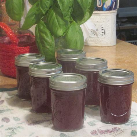 Prickly Pear Jelly Garden To Table Recipe Bloom Where Youre Planted