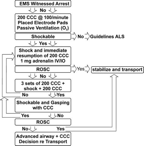 The Emergency Medical Services (EMS) protocol of Cardiocerebral ...