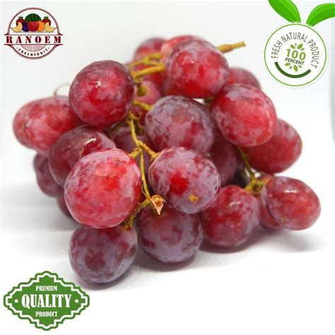 Jual Buah Anggur Merah Import Kg Shopee Indonesia