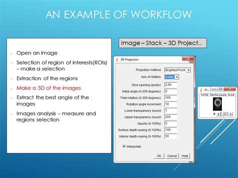 Using Imagej For Batch Image Processing And Analysis Bin Wei Phd