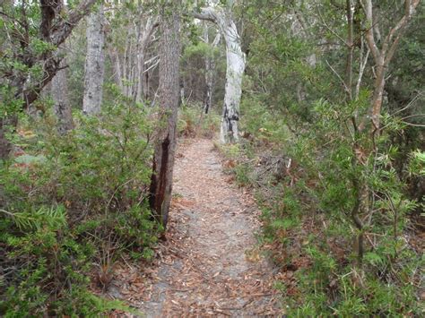 The Pinnacles Loop Walking Track