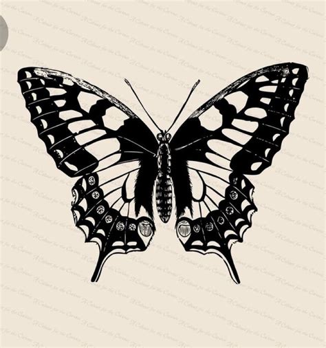 Pin By Mckenna On Tats Clip Art Vintage Vintage Butterfly Tattoo