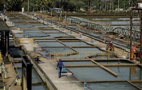 Falta d água sistema Guandu volta a operar capacidade máxima mas