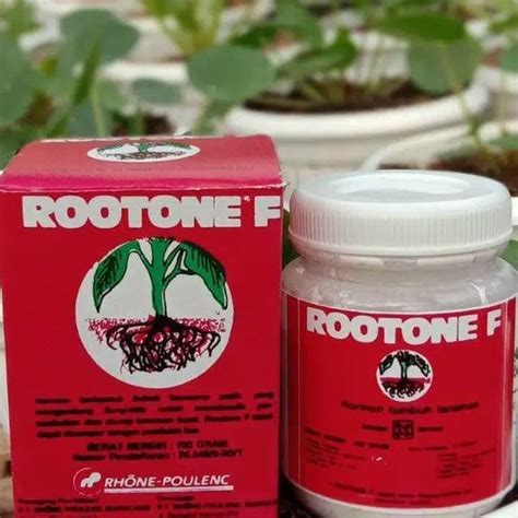 Jual ROOTONE F Isi 100 Gram Hormon Akar Hormon Cangkok Pupuk Akar