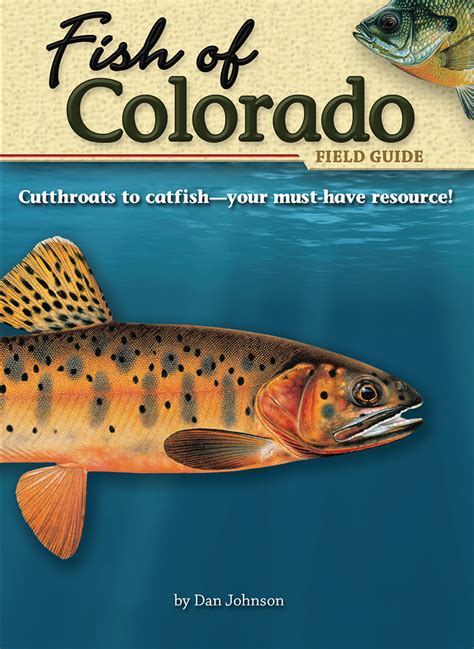 Fish Of Colorado Field Guide Adventurekeen Shop