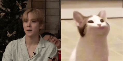 Yunho Pop Cat Meme Yunho Pop Cat Meme Ateez 탐색 및 공유