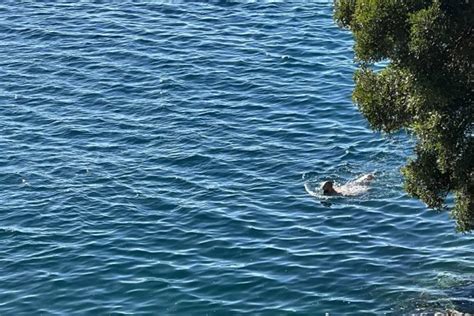 Foto U Dubrovniku Proljetno Vrijeme Sun Ana Nedjelja Idealna Je Za