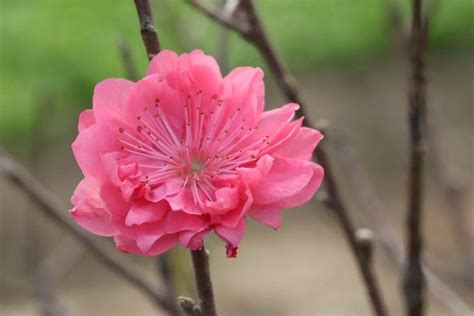 十个关键词，带你认识白云城市中心——“桃花均禾”禾街