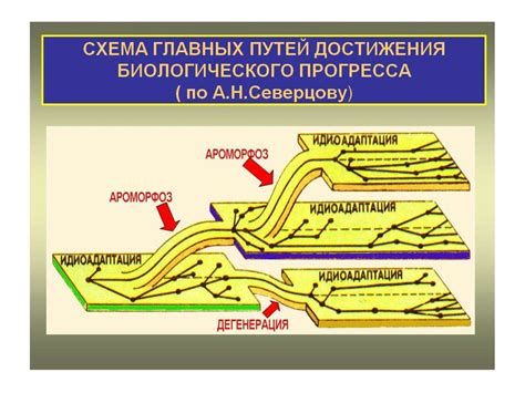 Эволюция. Термин "эволюция" - презентация онлайн