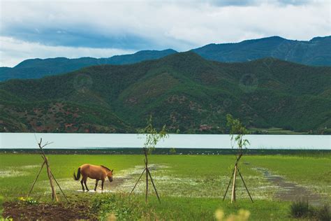 Background Latar Belakang Fotografi Definisi Tinggi Dari Pemandangan