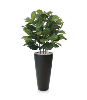 Ficus Exotica Artificiel Deluxe Cm Vert Produits En Exclusivit