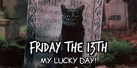 Friday The 13th Cat Meme