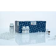 Qiaamp Dna Blood Mini Kit Qiagen