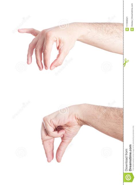 Set Of Gesturing Hands On White Stock Image Image Of Pick Hand