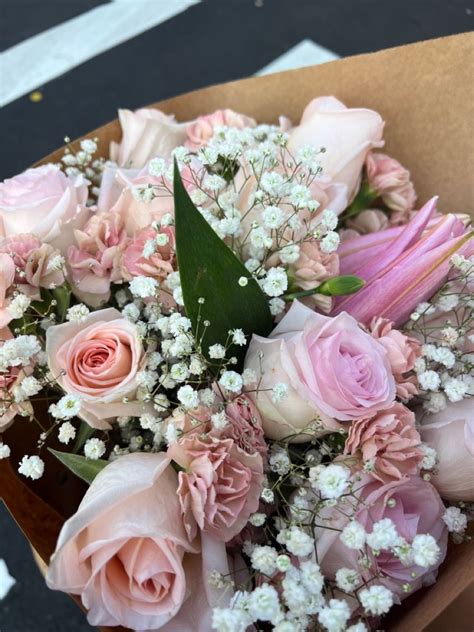 Carnations Babys Breath Pink Roses Cabbage Rose Bouquet Carnation