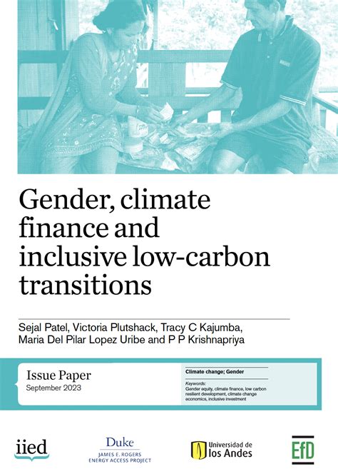 Gender Climate Finance And Inclusive Low Carbon Transitions James E